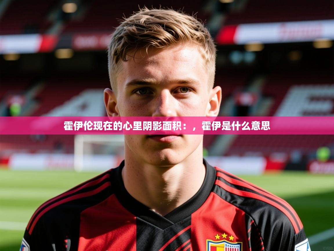 2025开云体育在线霍伊伦现在的心里阴影面积:,霍伊是什么意思 第1张