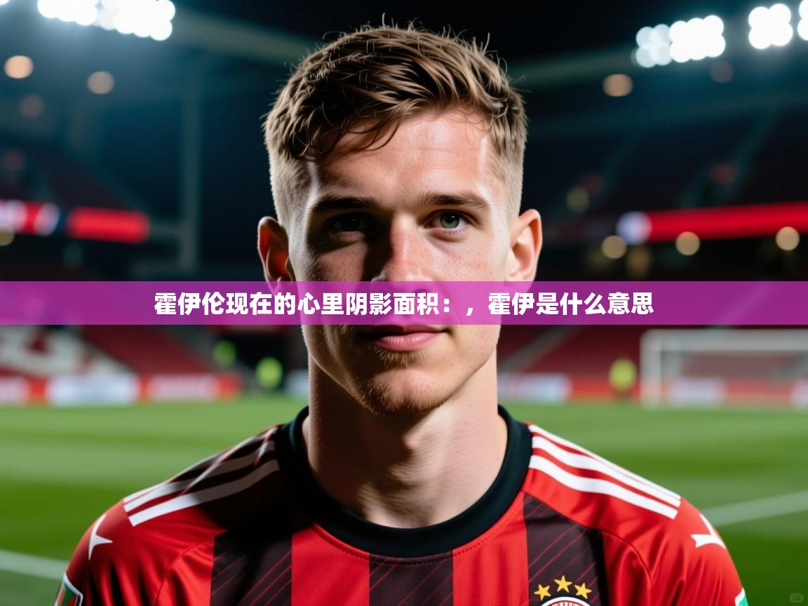 2025开云体育在线霍伊伦现在的心里阴影面积:,霍伊是什么意思 第3张