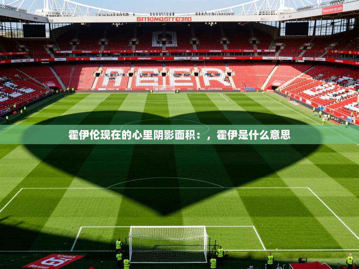 2025开云体育在线霍伊伦现在的心里阴影面积:,霍伊是什么意思 第4张