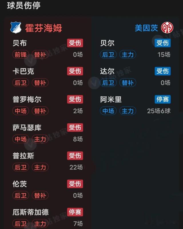 霍芬海姆客场对阵美因茨取得胜利的简单介绍